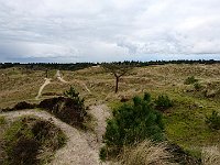 foto 163